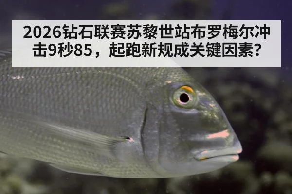 2026钻石联赛苏黎世站布罗梅尔冲击9秒85，起跑新规成关键因素？