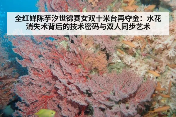 全红婵陈芋汐世锦赛女双十米台再夺金：水花消失术背后的技术密码与双人同步艺术